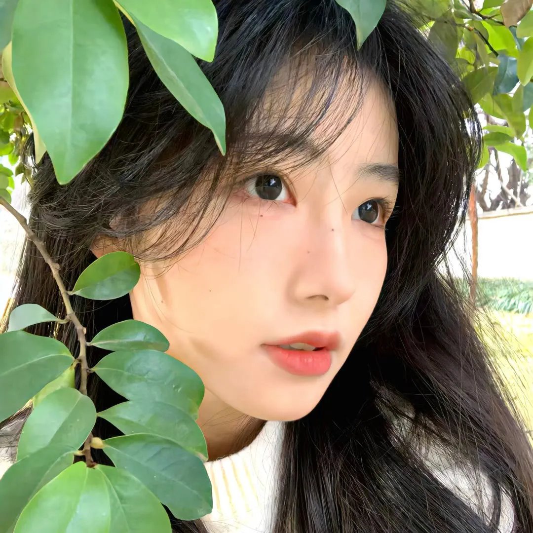 惟愿月圆人团圆